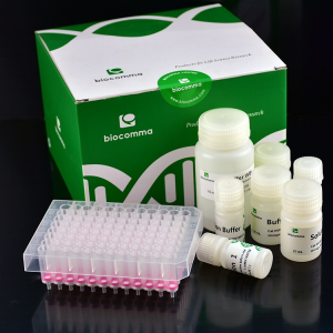 CommaXP® N96 Bacteria Genomic DNA Kit