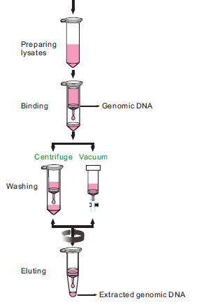 Spin columns