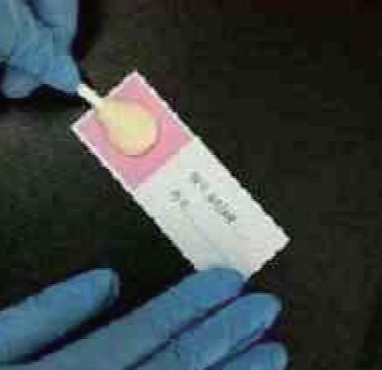 903 DNA Color Sample Collection Card
