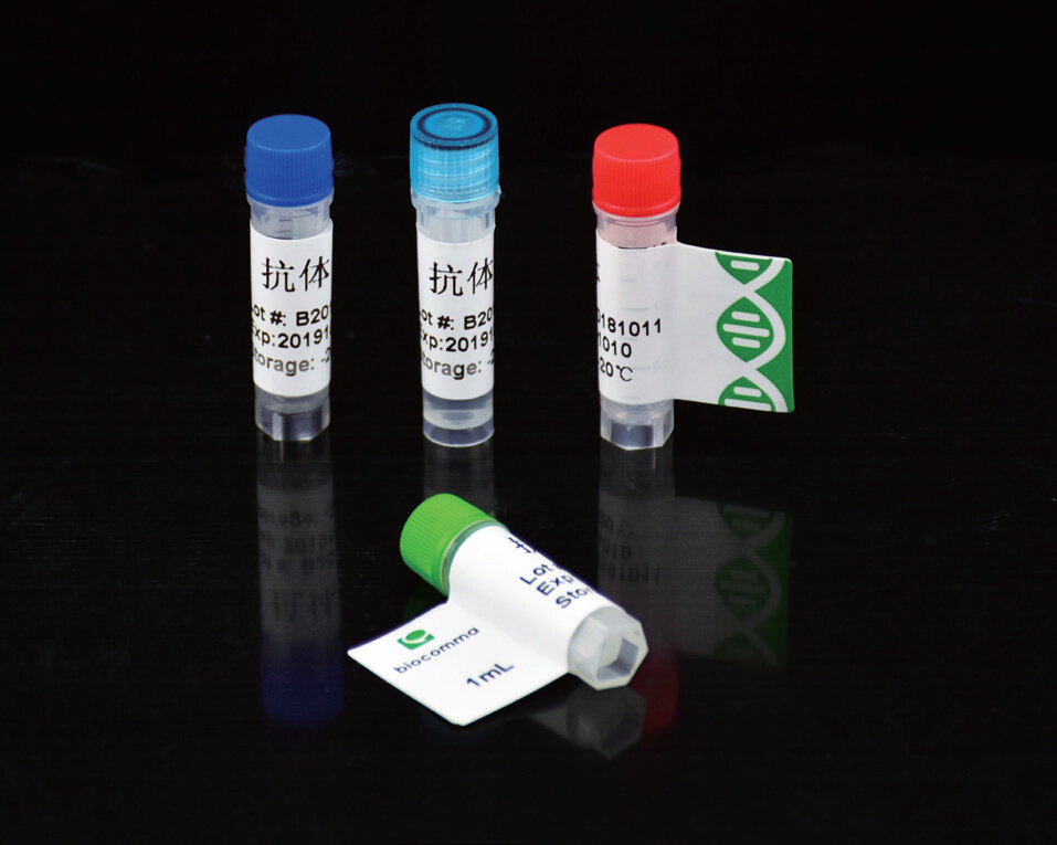 Virus Preservation Solution