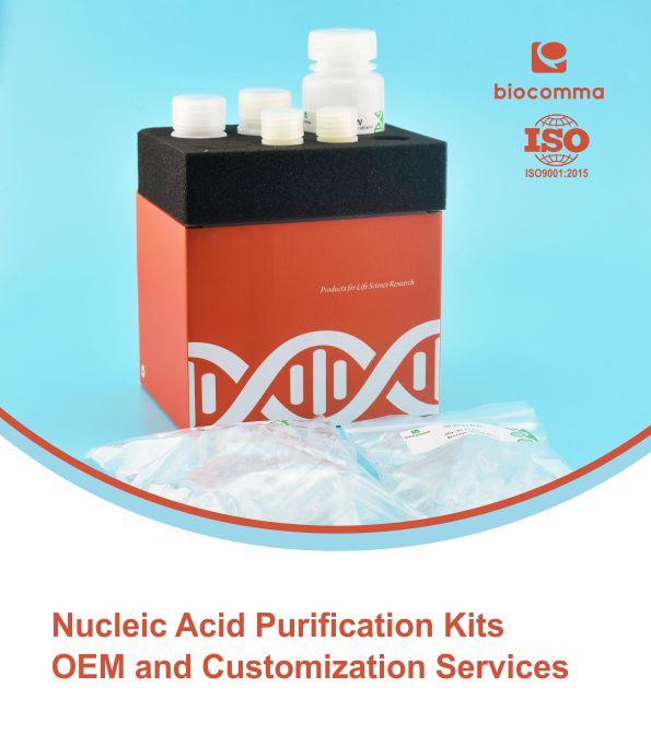 Nucleic Acid Purification Kits OEM