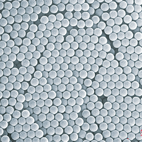 Magnetic Beads