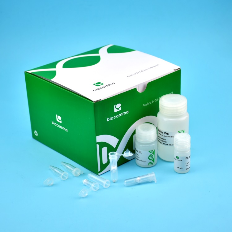 Bacterial Genomic DNA Kit (Spin Column)