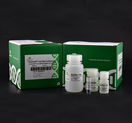 Blood Genomic DNA Kit (Magnetic Beads)