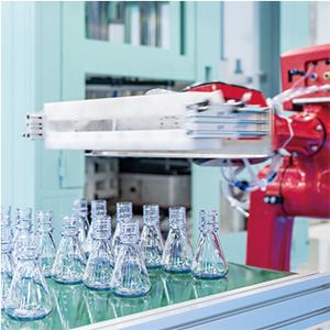 Erlenmeyer Flasks & Aseptic Transfer Caps
